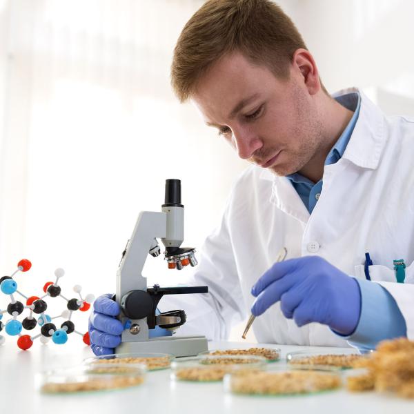 Glanbia Ireland scientist lookings at Oats through a microscope