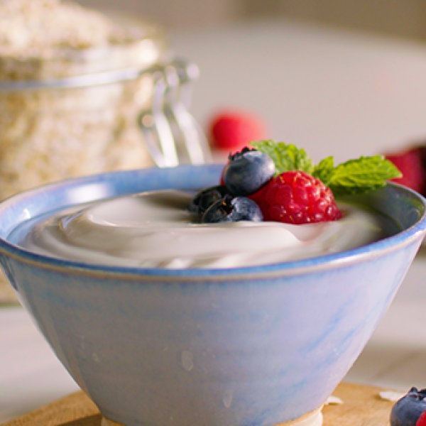 dairy yoghurt bowl