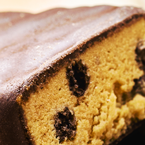 chocolate protein bar with casein