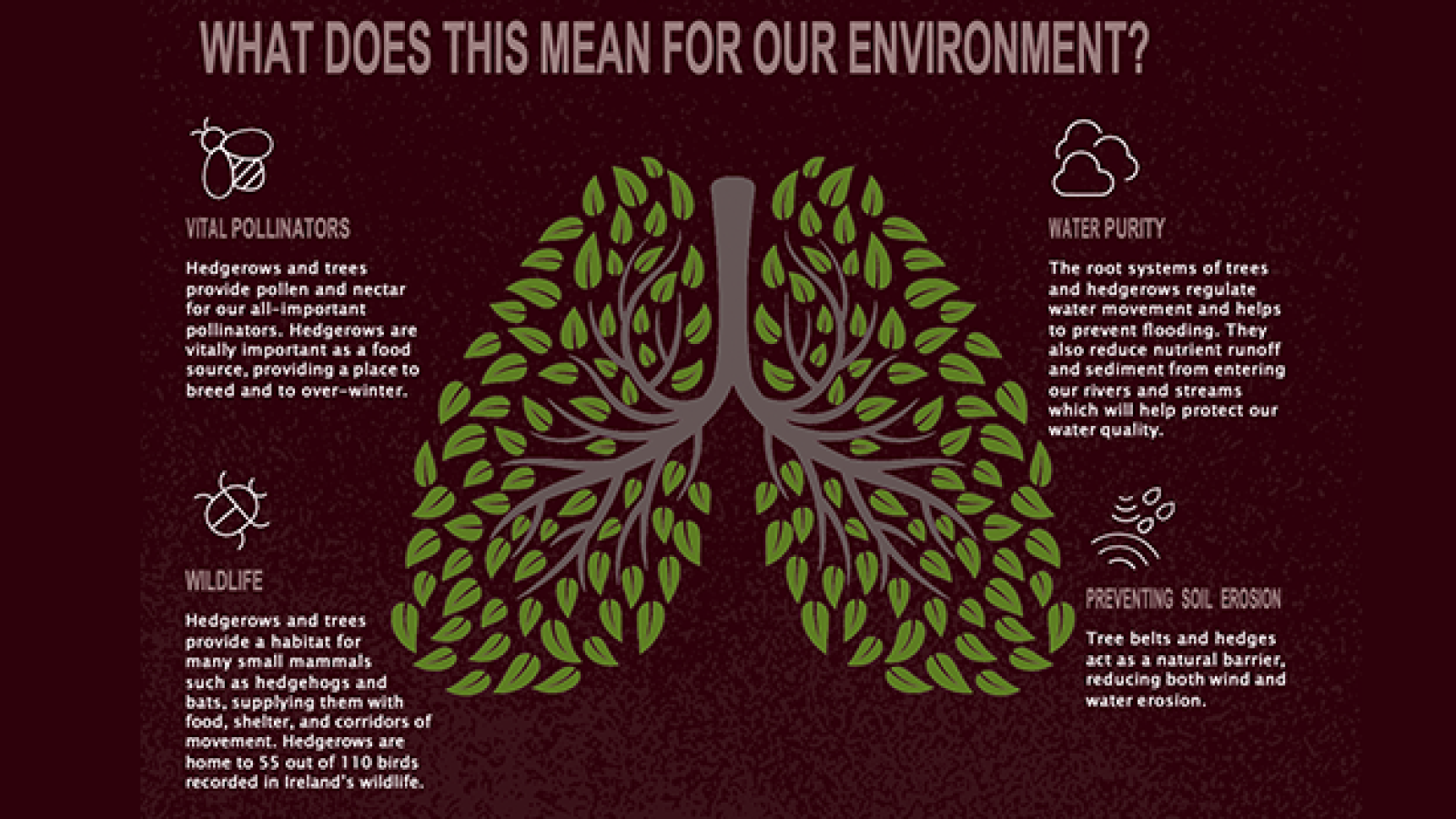 biodiversity - infographic