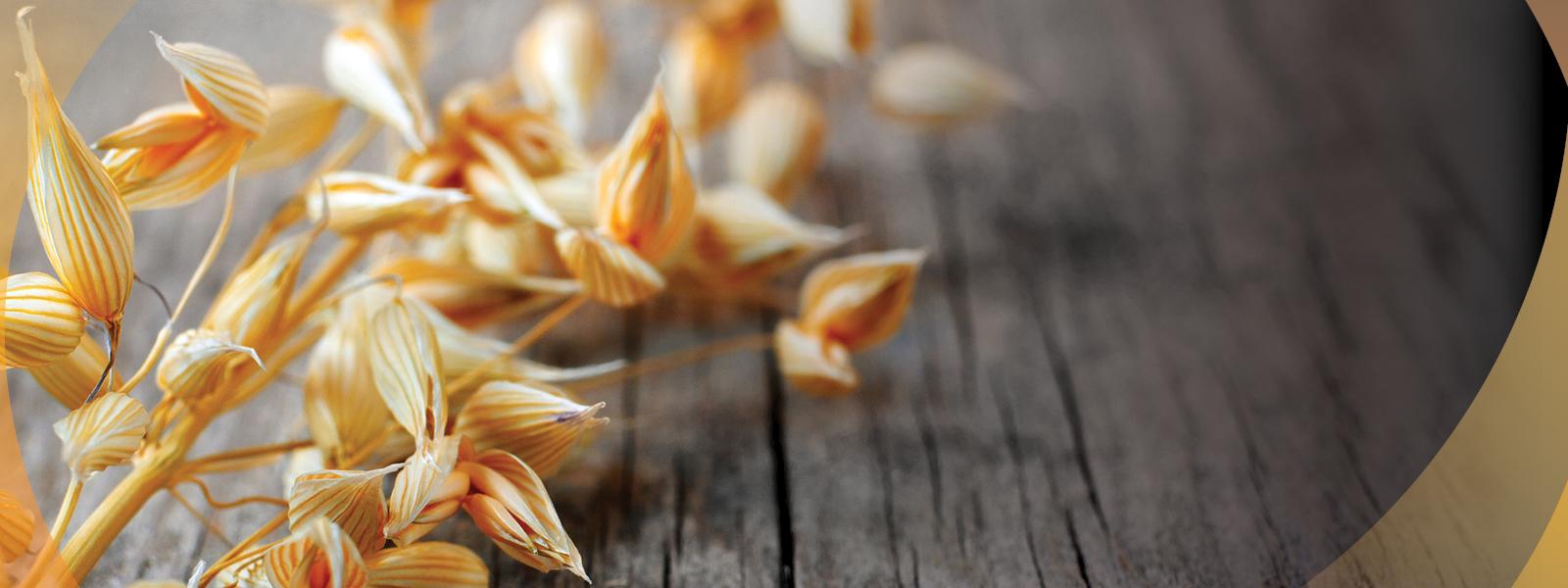 image of glanbia oats