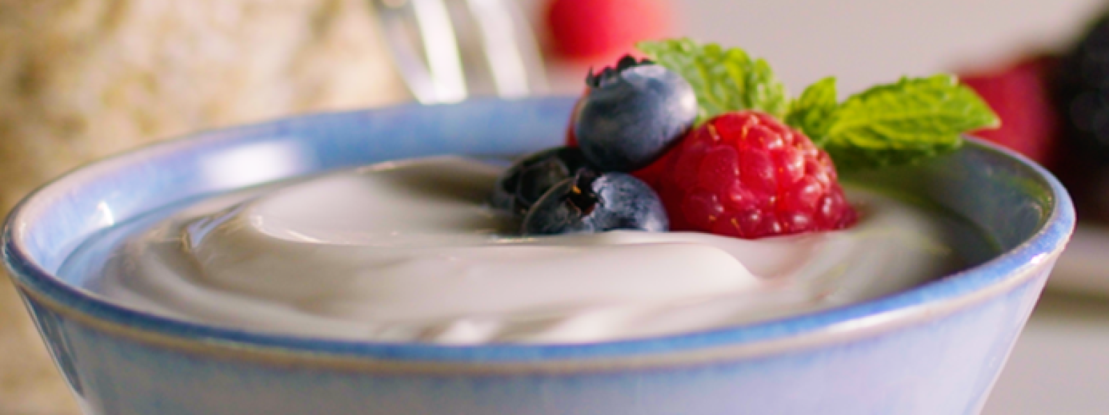 dairy yoghurt bow banner